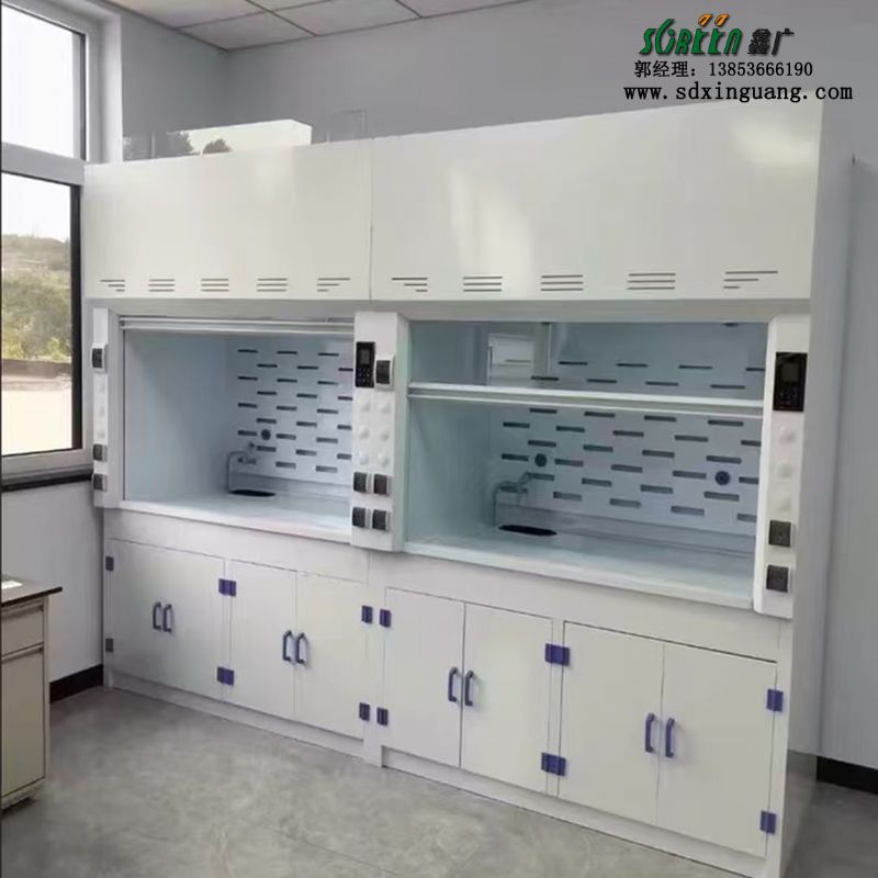 濰坊高密市實驗臺pp通風柜定制生產(chǎn)廠家