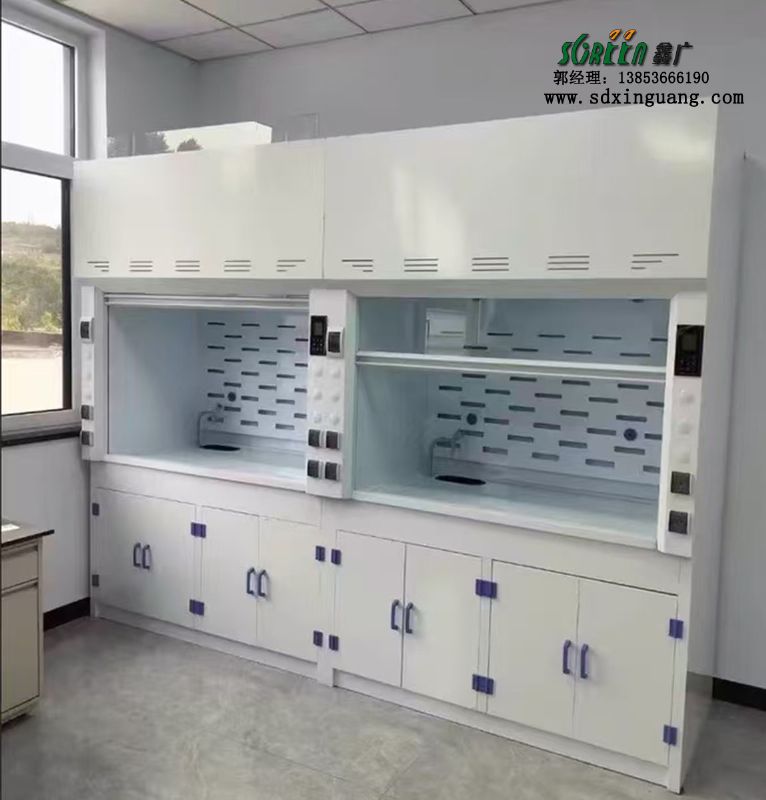 濰坊高密市實(shí)驗(yàn)臺(tái)pp通風(fēng)柜定制生產(chǎn)廠家