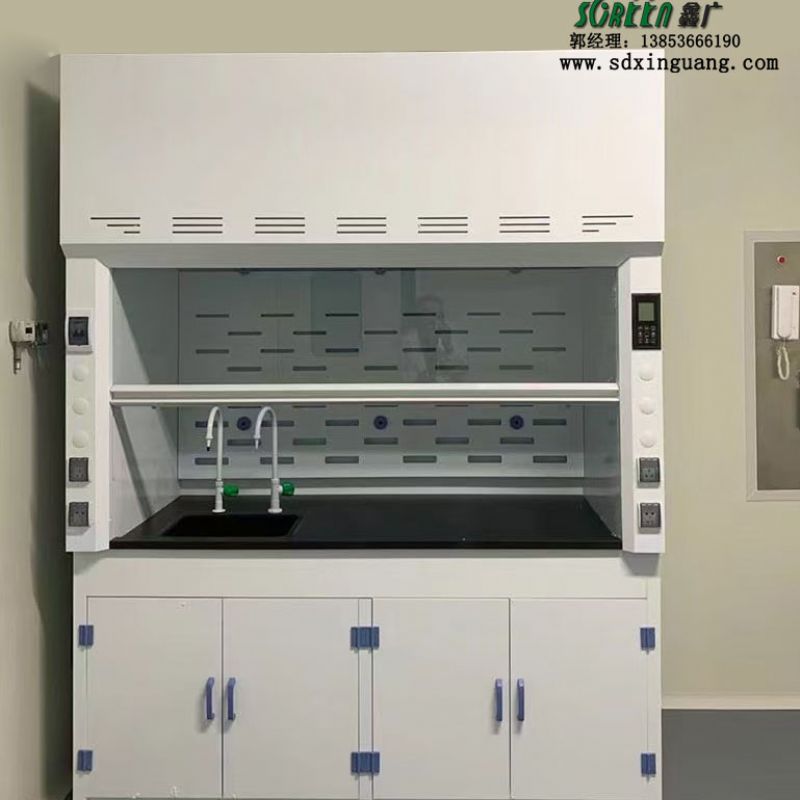 山東實驗室設備實驗室PP通風柜排風柜供應