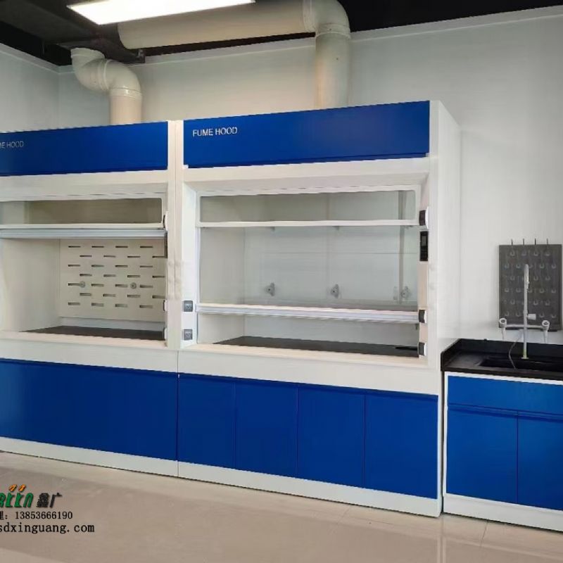 山東實驗室設備實驗室全鋼通風柜實驗室操作臺